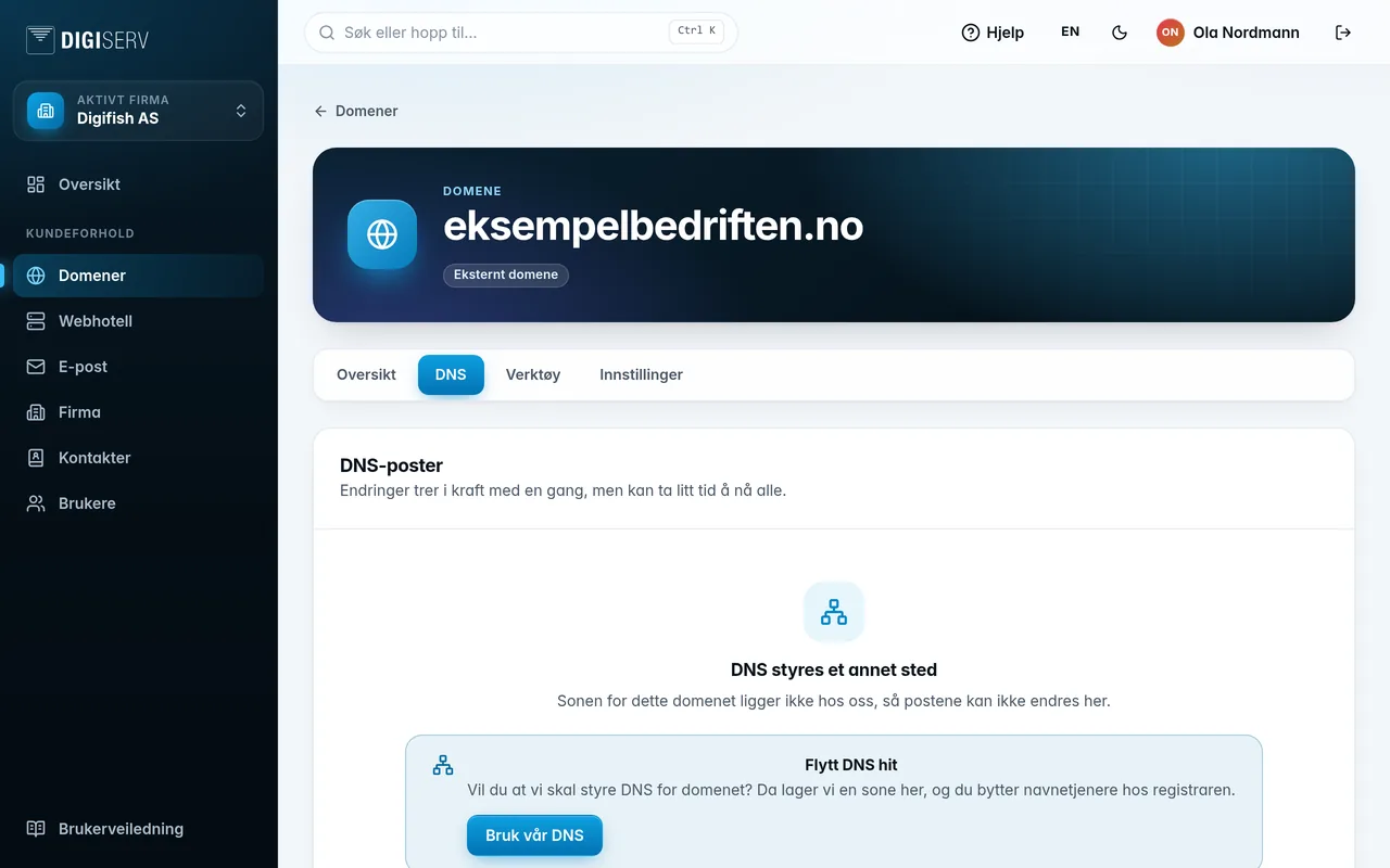 Fanen DNS for et domene der DNS ligger hos en annen leverandør