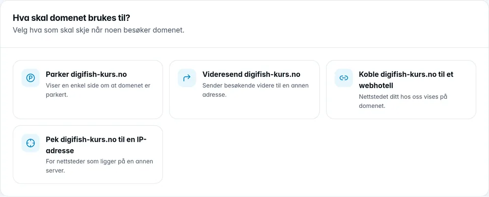 Kortet «Hva skal domenet brukes til?» med valgene for domenet