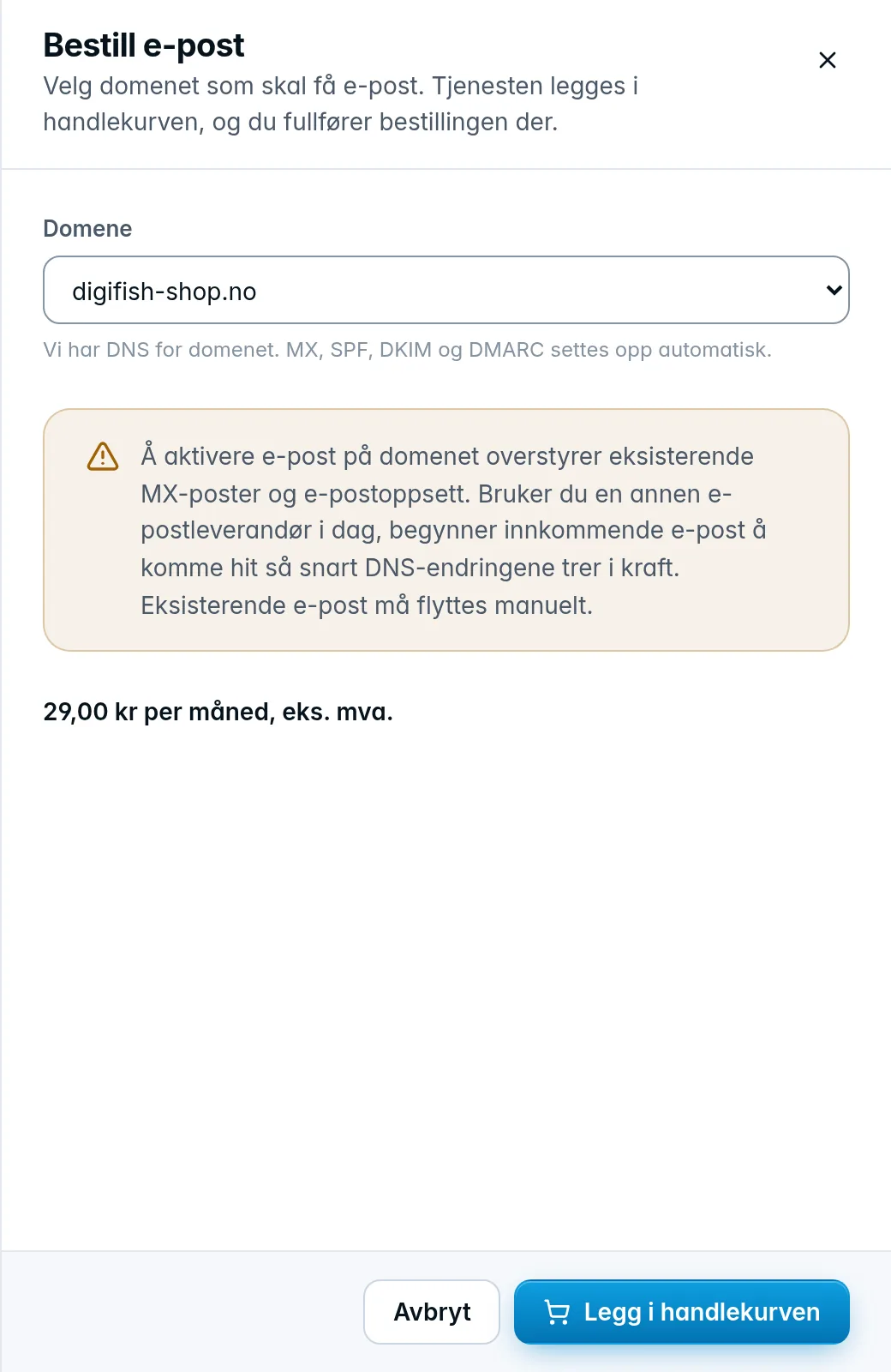 Skuffen Bestill e-post med valgt domene, advarsel om MX og månedspris