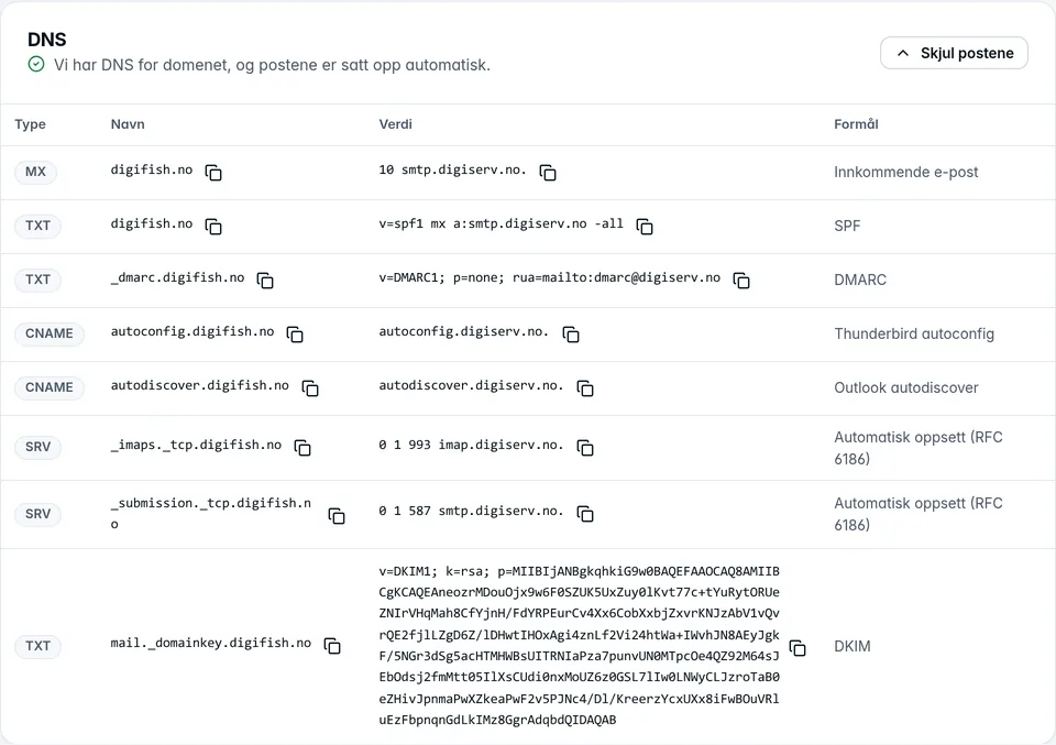 Kortet DNS med postene for MX, SPF, DMARC, DKIM og automatisk oppsett